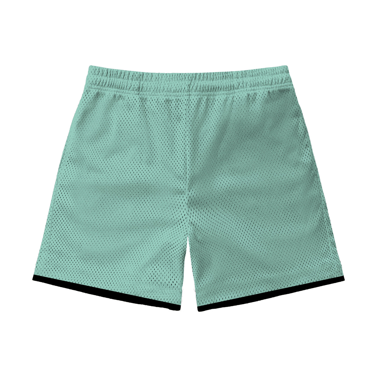 Playa Society 2026 New York Liberty Shorts